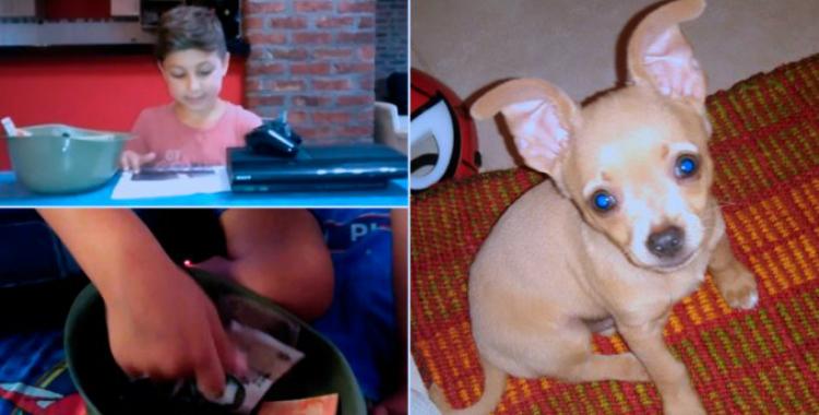 El niño que ofreció su play como recompensa por su perro recuperó a su mascota | El Diario 24
