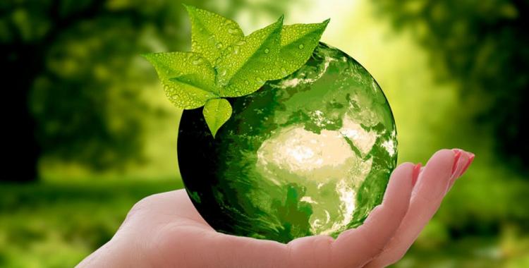 Por qué el 5 de junio es el Día Mundial del Medio Ambiente | El Diario 24