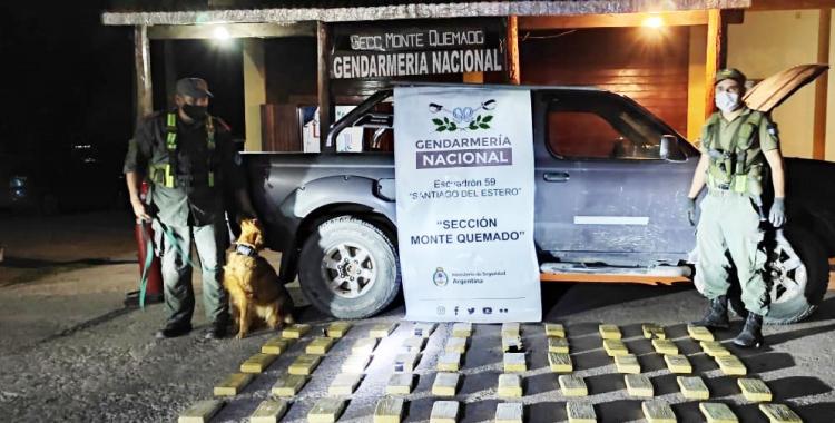 VIDEO Así trabaja “Jasy”, la perra antinarcóticos que descubrió 55 kilos de cocaína | El Diario 24