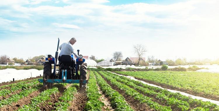 Cuál es la forma más eficiente de adquirir maquinaria agrícola usada en la región Noroeste del país | El Diario 24
