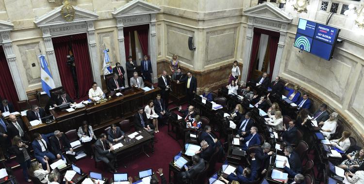 El Senado comienza a debatir la reforma del Consejo de la Magistratura | El Diario 24