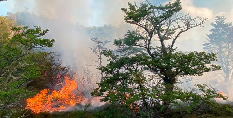 Tucumán y Entre Ríos registran focos activos de incendios forestales | El Diario 24