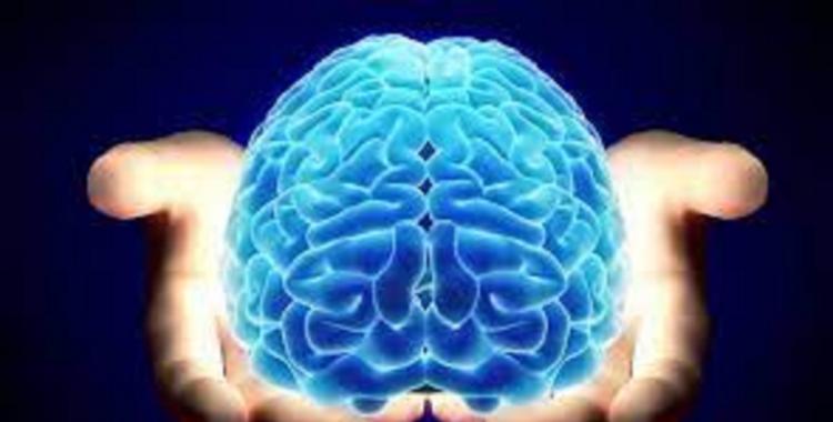 La potencialidad del cerebro | El Diario 24