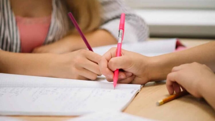 Ayuda escolar anual ANSES