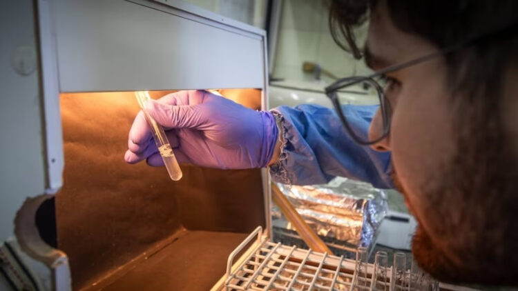 Fentanilo contaminado laboratorio