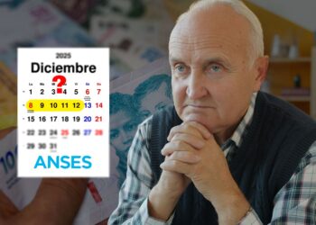 ANSES