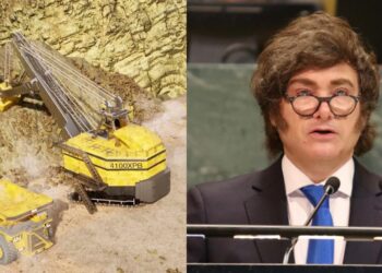 javier milei mineria minero proyecto mendoza cobre psj cobre mendocino respaldo marcha contra agua