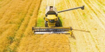 Sistemas agrivoltaicos